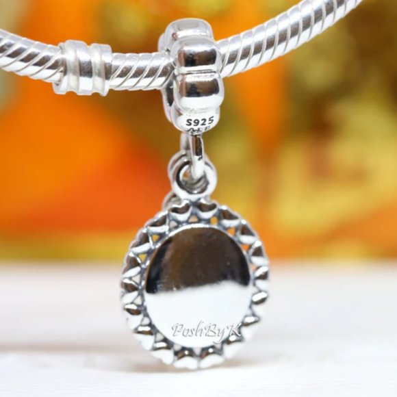 PANDORA Loving Aunt Charm 791277CZ - Picture 3 of 3